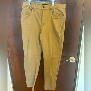 Banana Republic tan Chinos
